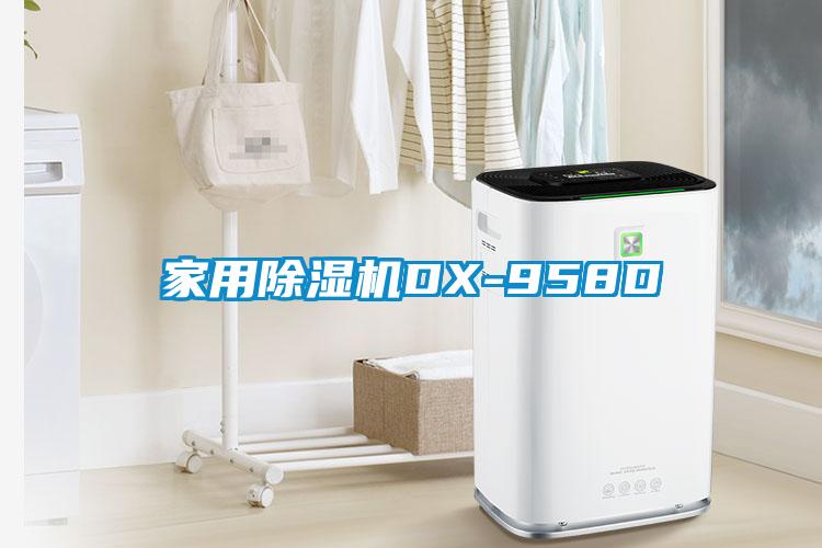 家用蜜柚直播APP正版下载DX-958D