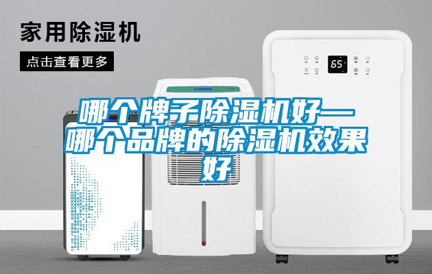 哪个牌子蜜柚直播APP正版下载好—哪个品牌的蜜柚直播APP正版下载效果好