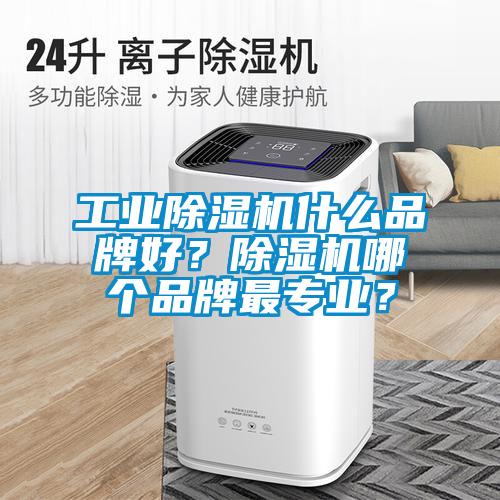 工业蜜柚直播APP正版下载什么品牌好？蜜柚直播APP正版下载哪个品牌最专业？