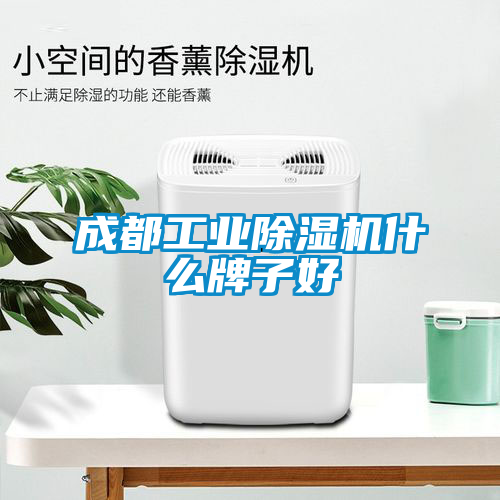 成都工业蜜柚直播APP正版下载什么牌子好