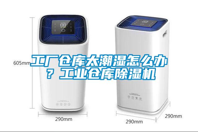 工厂仓库太潮湿怎么办？工业仓库蜜柚直播APP正版下载