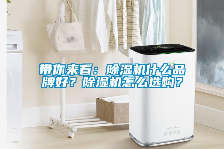 带你来看：蜜柚直播APP正版下载什么品牌好？蜜柚直播APP正版下载怎么选购？