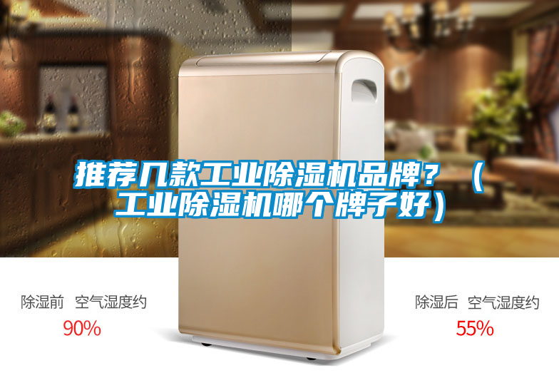 推荐几款工业蜜柚直播APP正版下载品牌？（工业蜜柚直播APP正版下载哪个牌子好）