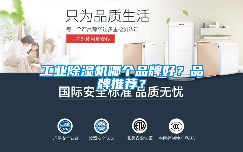 工业蜜柚直播APP正版下载哪个品牌好？品牌推荐？