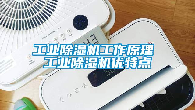 工业蜜柚直播APP正版下载工作原理 工业蜜柚直播APP正版下载优特点