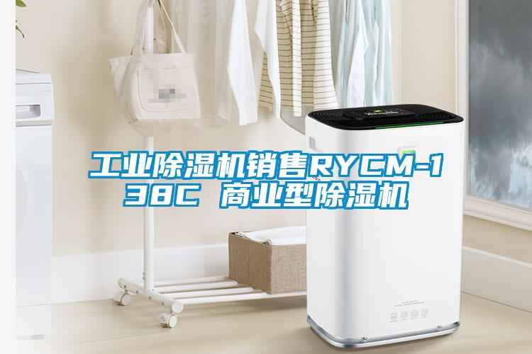 工业蜜柚直播APP正版下载销售RYCM-138C 商业型蜜柚直播APP正版下载