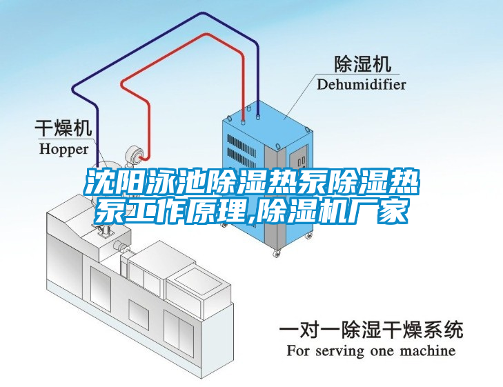 沈阳泳池除湿热泵除湿热泵工作原理,蜜柚直播APP正版下载厂家