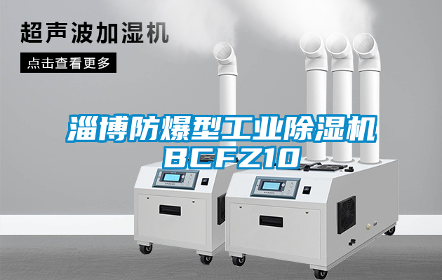 淄博防爆型工业蜜柚直播APP正版下载 BCFZ10