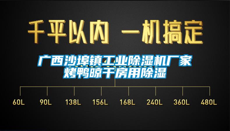 广西沙埠镇工业蜜柚直播APP正版下载厂家烤鸭晾干房用除湿