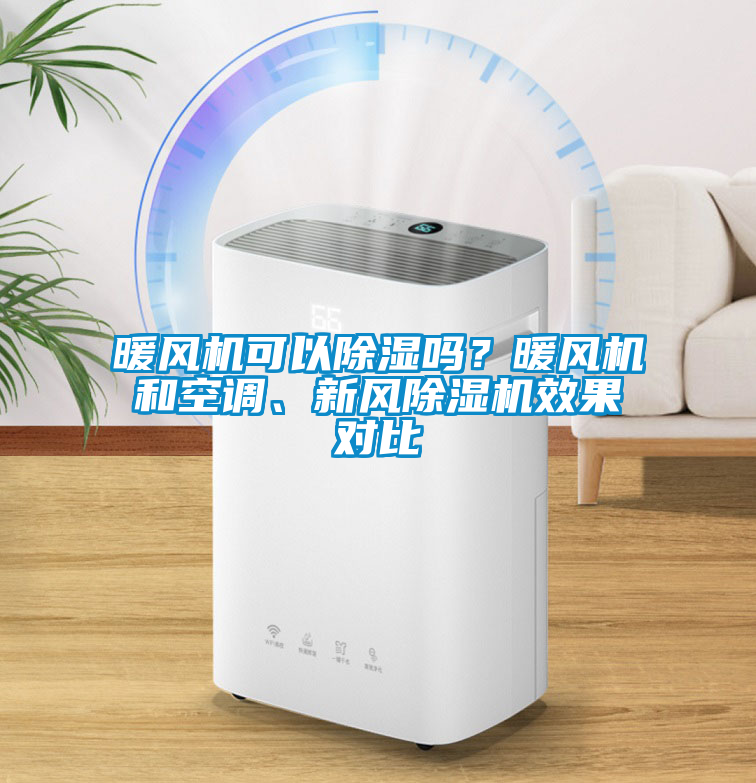 暖风机可以除湿吗？暖风机和空调、新风蜜柚直播APP正版下载效果对比