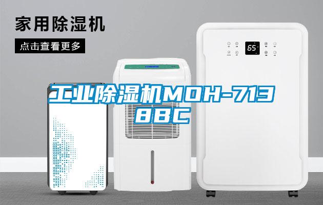 工业蜜柚直播APP正版下载MOH-7138BC