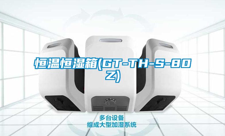 恒温恒湿箱(GT-TH-S-80Z)