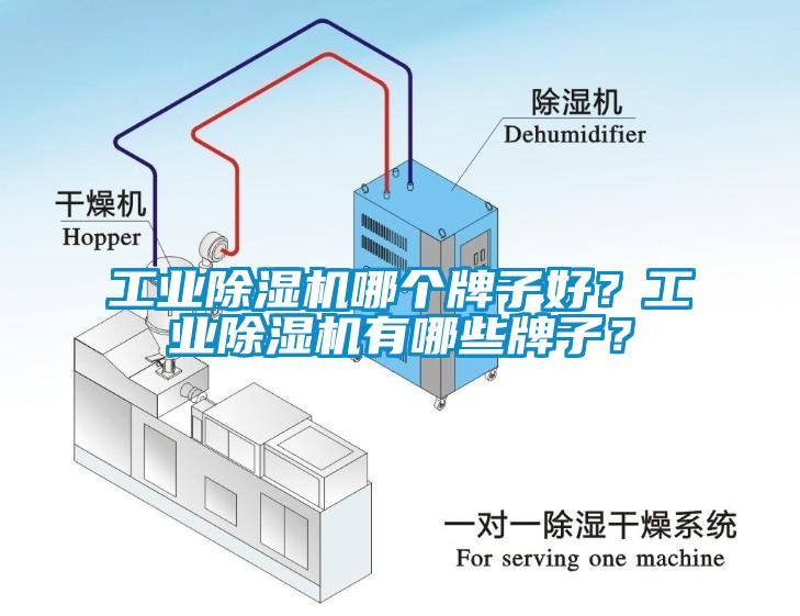 工业蜜柚直播APP正版下载哪个牌子好？工业蜜柚直播APP正版下载有哪些牌子？