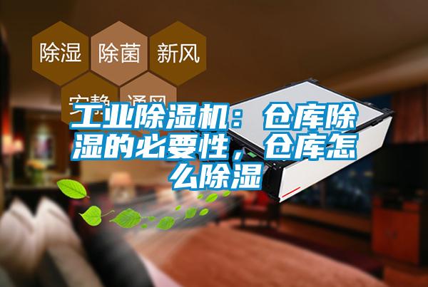 工业蜜柚直播APP正版下载：仓库除湿的必要性，仓库怎么除湿