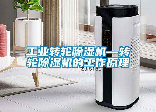 工业转轮蜜柚直播APP正版下载—转轮蜜柚直播APP正版下载的工作原理