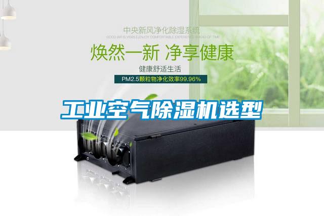 工业空气蜜柚直播APP正版下载选型