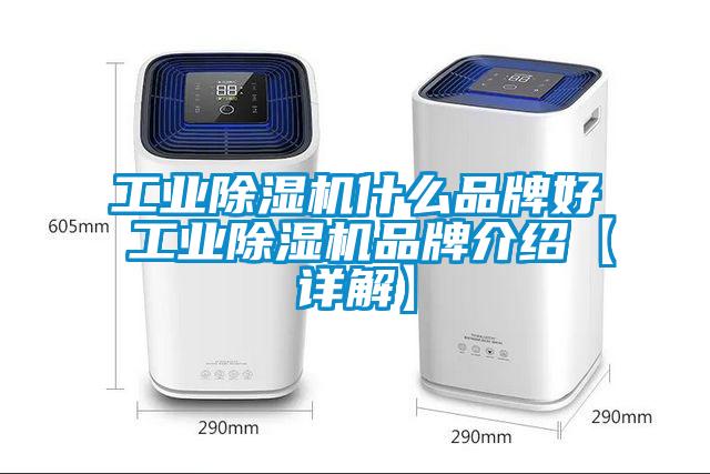 工业蜜柚直播APP正版下载什么品牌好 工业蜜柚直播APP正版下载品牌介绍【详解】