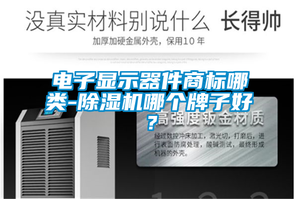 电子显示器件商标哪类-蜜柚直播APP正版下载哪个牌子好？