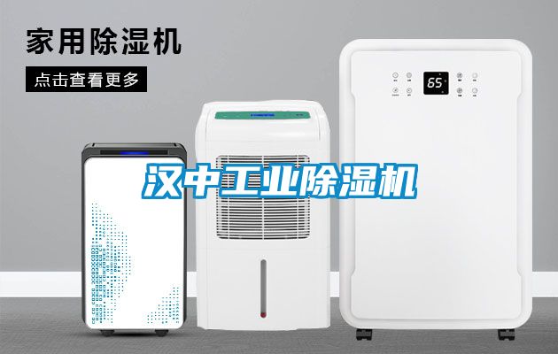 汉中工业蜜柚直播APP正版下载