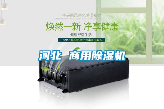 河北 商用蜜柚直播APP正版下载