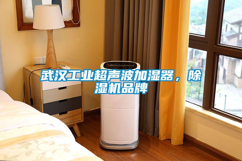 武汉工业超声波加湿器，蜜柚直播APP正版下载品牌