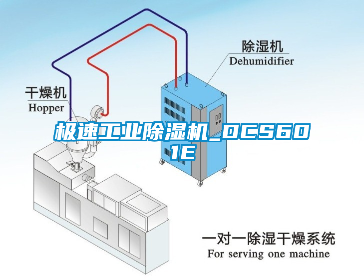 极速工业蜜柚直播APP正版下载_DCS601E