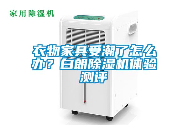 衣物家具受潮了怎么办？白朗蜜柚直播APP正版下载体验测评