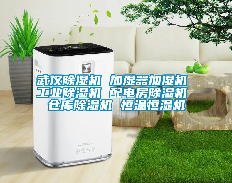 武汉蜜柚直播APP正版下载 加湿器加湿机 工业蜜柚直播APP正版下载 配电房蜜柚直播APP正版下载 仓库蜜柚直播APP正版下载 恒温恒湿机