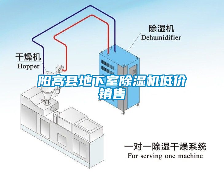 阳高县地下室蜜柚直播APP正版下载低价销售