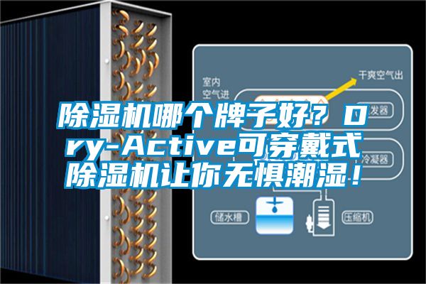 蜜柚直播APP正版下载哪个牌子好？Dry-Active可穿戴式蜜柚直播APP正版下载让你无惧潮湿！