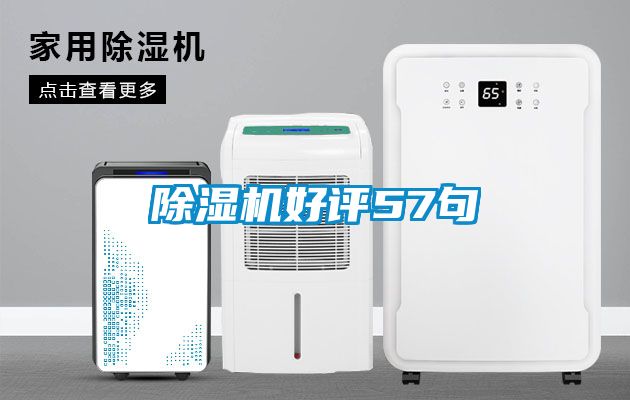 蜜柚直播APP正版下载好评57句