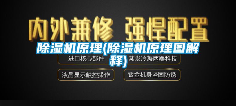 蜜柚直播APP正版下载原理(蜜柚直播APP正版下载原理图解释)