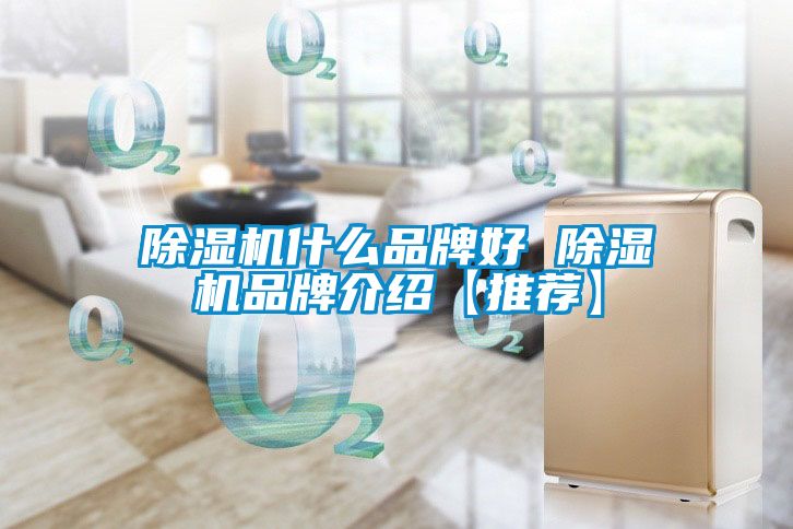 蜜柚直播APP正版下载什么品牌好 蜜柚直播APP正版下载品牌介绍【推荐】