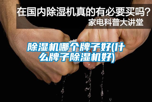 蜜柚直播APP正版下载哪个牌子好(什么牌子蜜柚直播APP正版下载好)