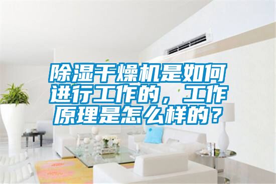 除湿干燥机是如何进行工作的，工作原理是怎么样的？