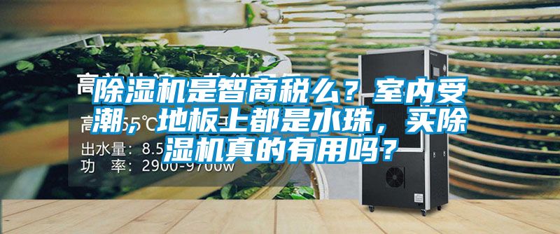 蜜柚直播APP正版下载是智商税么？室内受潮，地板上都是水珠，买蜜柚直播APP正版下载真的有用吗？