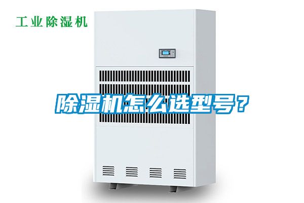 蜜柚直播APP正版下载怎么选型号？