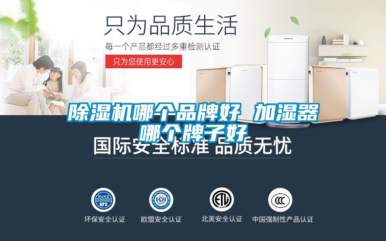 蜜柚直播APP正版下载哪个品牌好 加湿器哪个牌子好