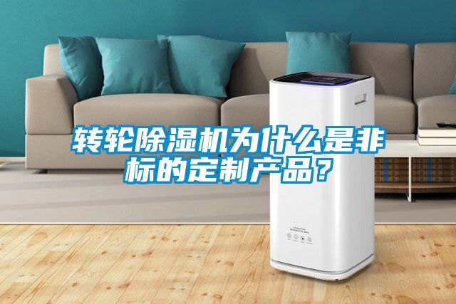 转轮蜜柚直播APP正版下载为什么是非标的定制产品？