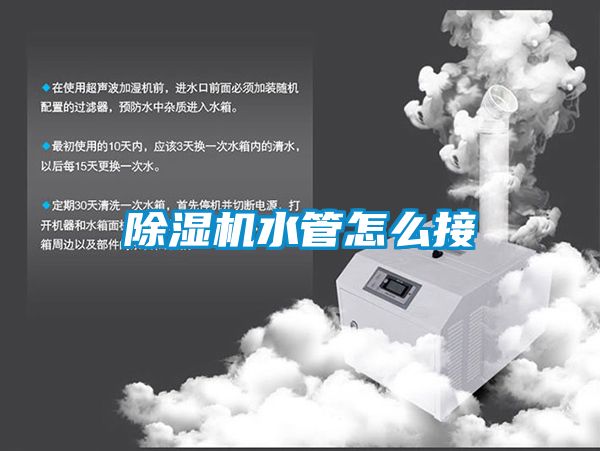 蜜柚直播APP正版下载水管怎么接