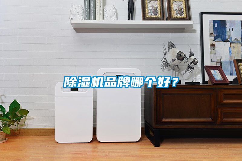 蜜柚直播APP正版下载品牌哪个好？