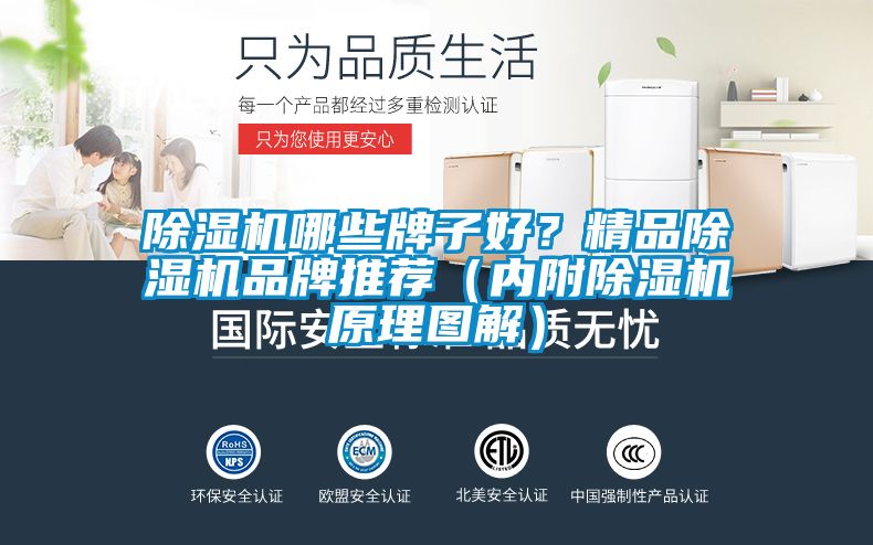 蜜柚直播APP正版下载哪些牌子好？精品蜜柚直播APP正版下载品牌推荐（内附蜜柚直播APP正版下载原理图解）