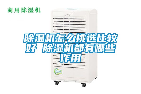 蜜柚直播APP正版下载怎么挑选比较好 蜜柚直播APP正版下载都有哪些作用