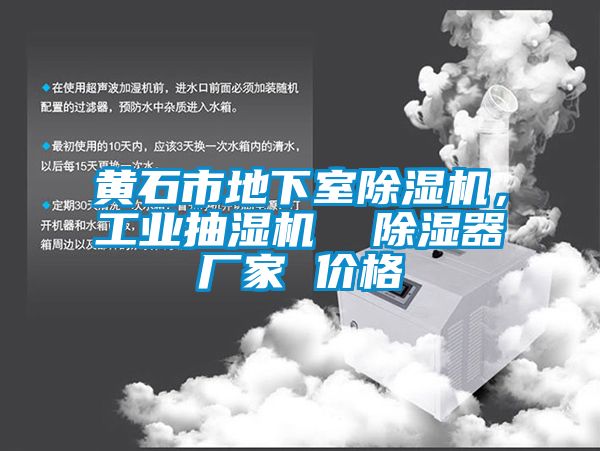 黄石市地下室蜜柚直播APP正版下载，工业抽湿机  除湿器厂家 价格