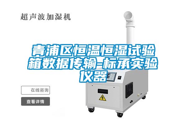 青浦区恒温恒湿试验箱数据传输-标承实验仪器