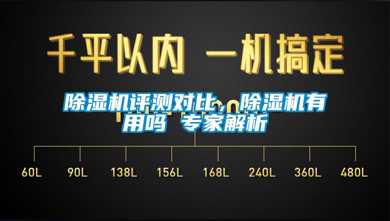 蜜柚直播APP正版下载评测对比，蜜柚直播APP正版下载有用吗 专家解析